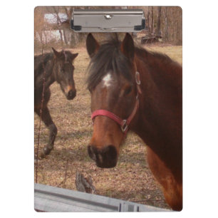 Porte-bloc Chevaux Brown
