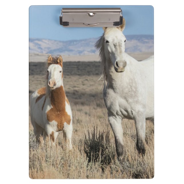 Porte-bloc Chevaux sauvages chez eux dans le bassin de Sandwa (Devant)