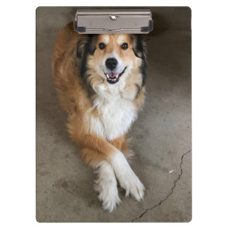 Porte-bloc Chien
