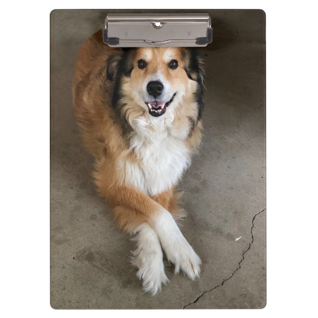 Porte-bloc Chien (Devant)