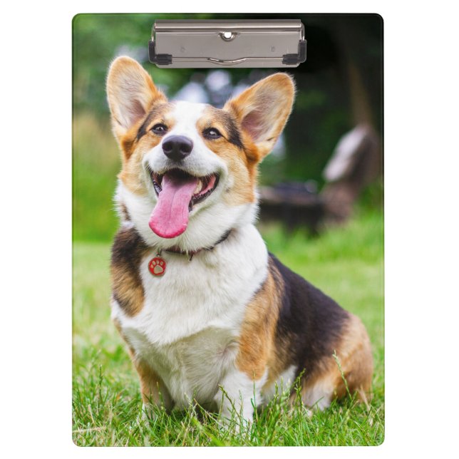 Porte-bloc Chien coquelicot de Pembroke Welsh Corgi (Devant)