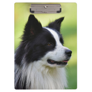 Porte-bloc Chien de berger border collie noir et blanc