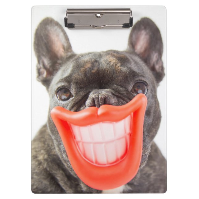 Porte-bloc Chien de sourire des images | A de Getty (Devant)