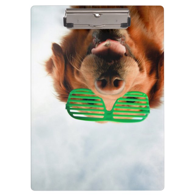 Porte-bloc Chien des images | de Getty avec des verres (Devant)