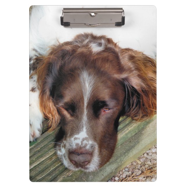 PORTE-BLOC CHIEN ESPAGNOL (Devant)