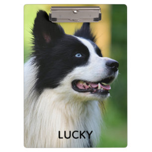 Porte-bloc Chien noir et blanc à la frontière