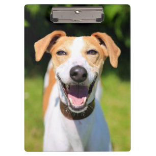 Porte-bloc Chien riant des images de Getty