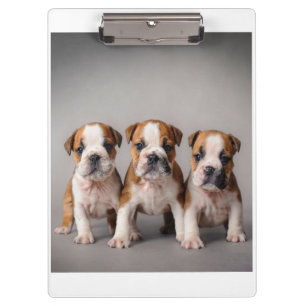 Porte-bloc Chiens de taupe mignons Cadeau Amoureux des chie