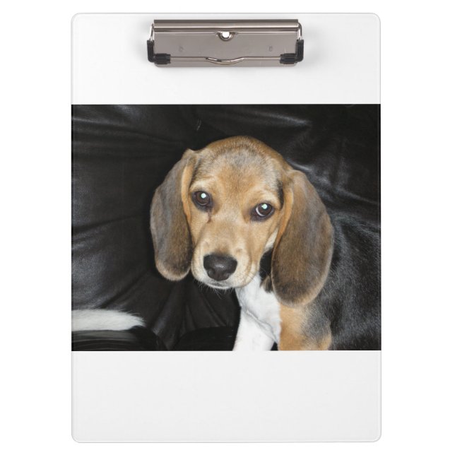 Porte-bloc Chiot beagle 2 (Devant)
