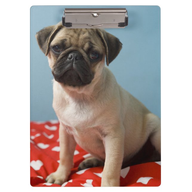 Porte-bloc Chiot de carlin se reposant sur le lit (Devant)