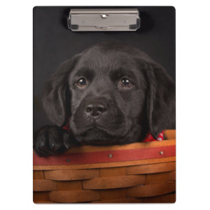 Porte-bloc Chiot noir de labrador retriever dans un panier