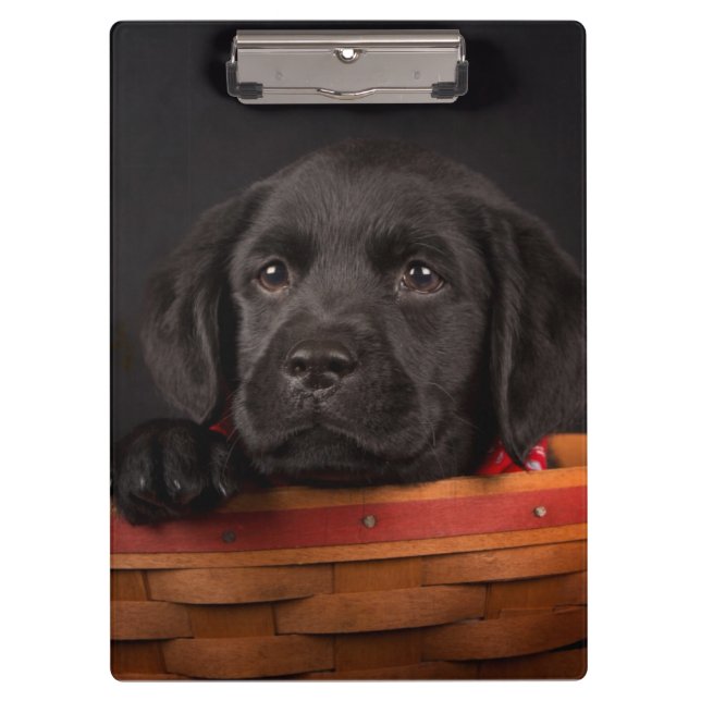 Porte-bloc Chiot noir de labrador retriever dans un panier (Devant)