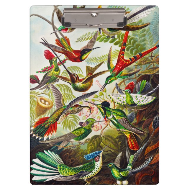 Porte-bloc Colibri Vintage par Ernst Haeckel (Devant)