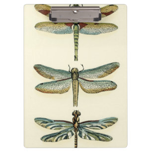 Porte-bloc Collection de libellule par Chariklia Zarris