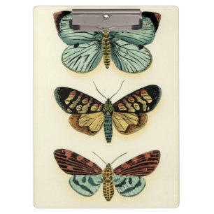 Porte-bloc Collection de papillon par Chariklia Zarris
