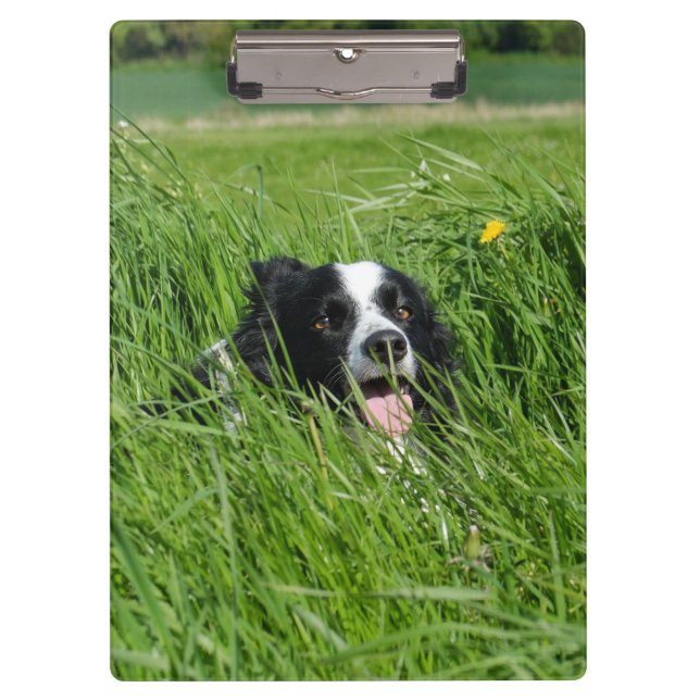 Porte-bloc Collie noir et blanc dans l'herbe (Devant)