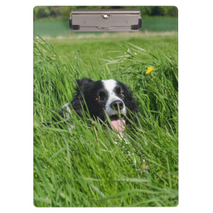 Porte-bloc Collie noir et blanc en herbe