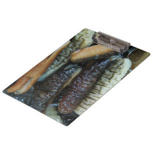 Porte-bloc Concombre de mer ... Nourriture du marché du Yaowa