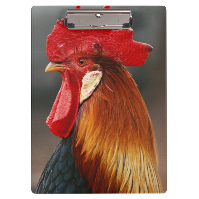 Porte-bloc Coq domestique de basse-cour (Devant)