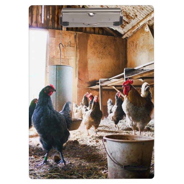 Porte-bloc Coq et poules à l'intérieur de la grange (Devant)