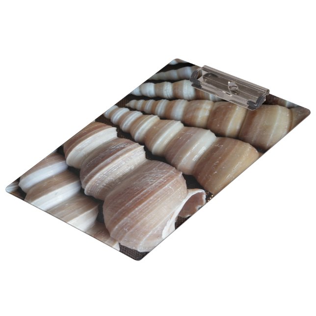 Porte-bloc Coquillages ensoleillés, Porte - bloc, Plage d'été (Incliné)