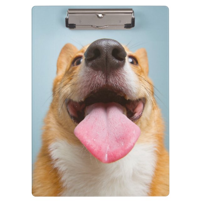 Porte-bloc Corgi très heureux des images | de Getty (Devant)
