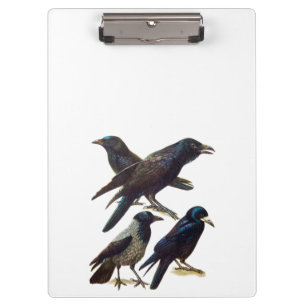 Porte-bloc Corneille vintage et collage de Raven, oiseaux