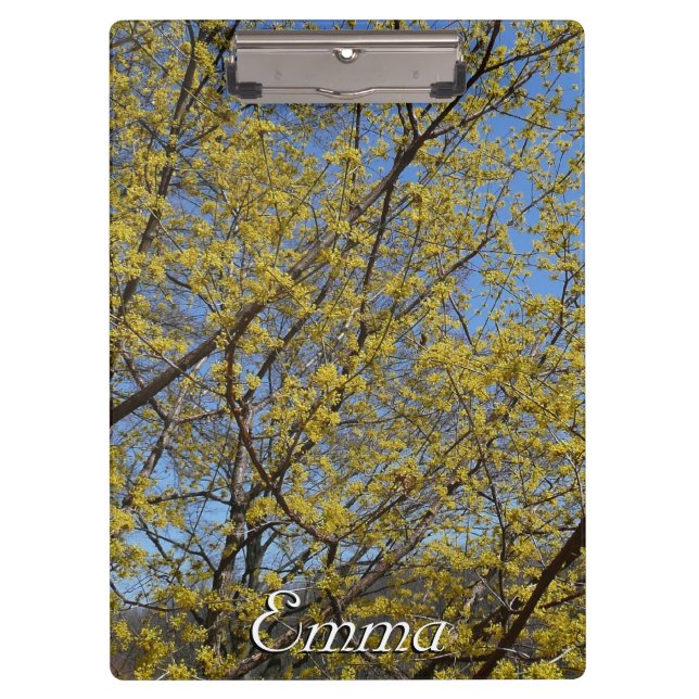 Porte-bloc Cornelian Cherry (Devant)