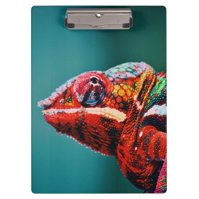 Porte-bloc Couleur Changement arc-en-ciel Chameleon Reptile (Devant)