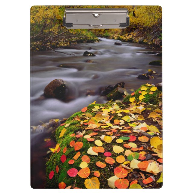 Porte-bloc Couleurs d'automne le long de McGee Creek (Devant)