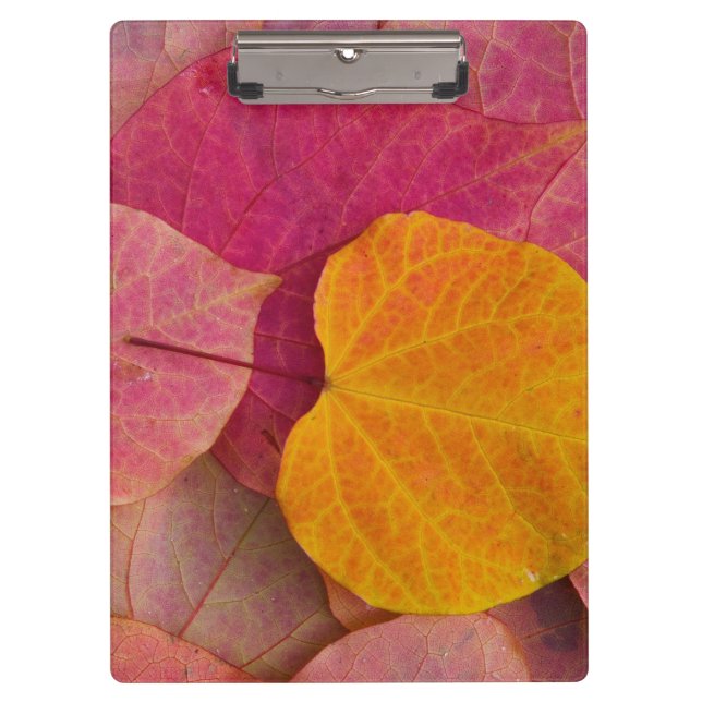 Porte-bloc Couleurs d'automne sur Forest Pansy Redbud feuille (Devant)