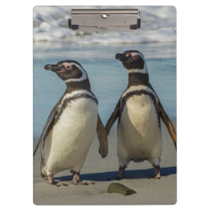 Porte-bloc Couple de manchots sur la plage
