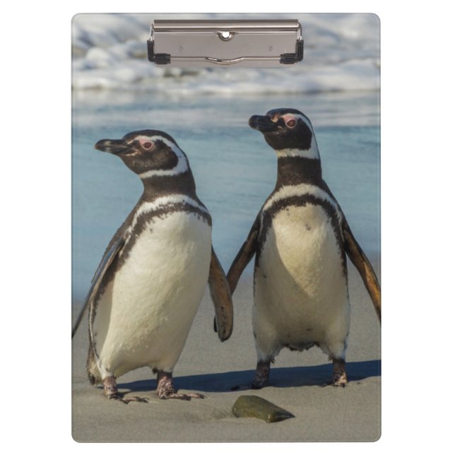 Porte-bloc Couple de manchots sur la plage (Devant)