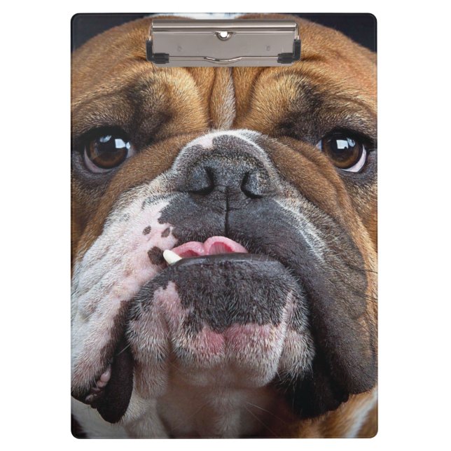 Porte-bloc Coussin de jet de Bouledogue Anglais (Devant)