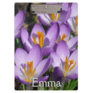 Porte-bloc Crocus violets ensoleillés
