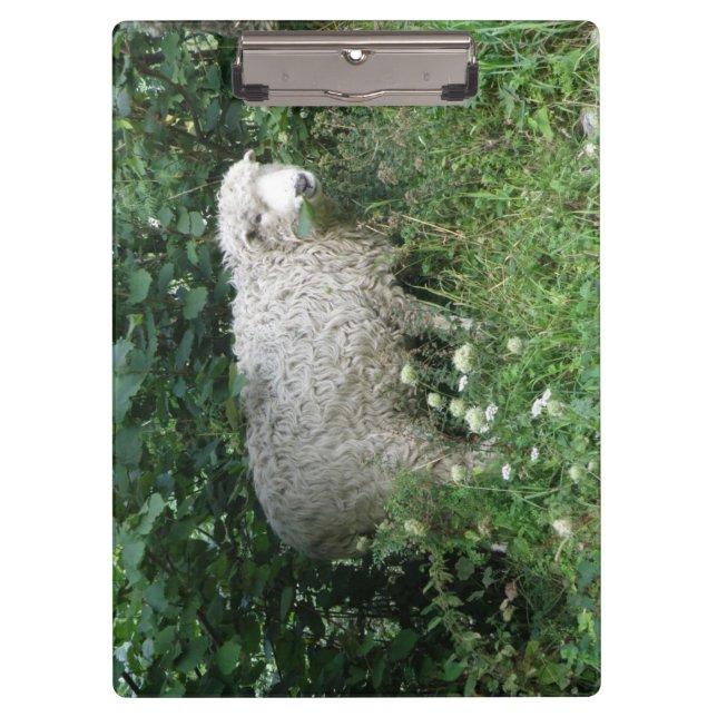 Porte-bloc Cute Blanc Fluffé Manger Porte - bloc (Devant)