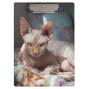 Porte-bloc Cute Chat Lounge sans fourrure