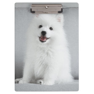 Porte-bloc Cute Fluffy Japonais Spitz Puppy