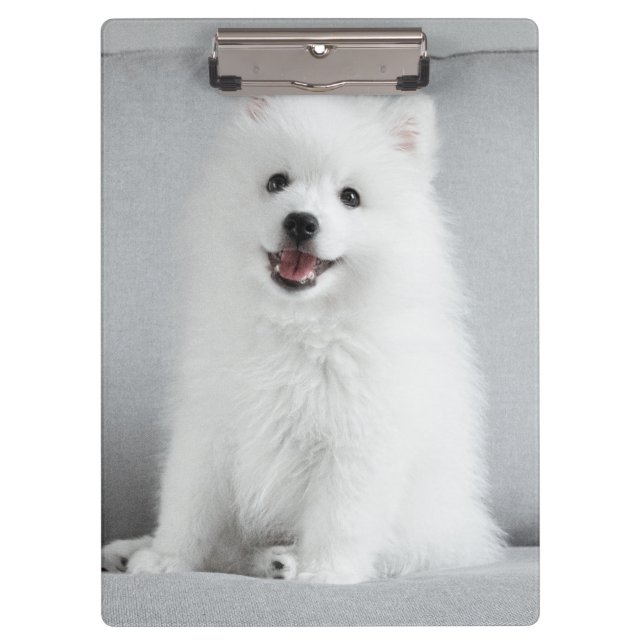 Porte-bloc Cute Fluffy Japonais Spitz Puppy (Devant)