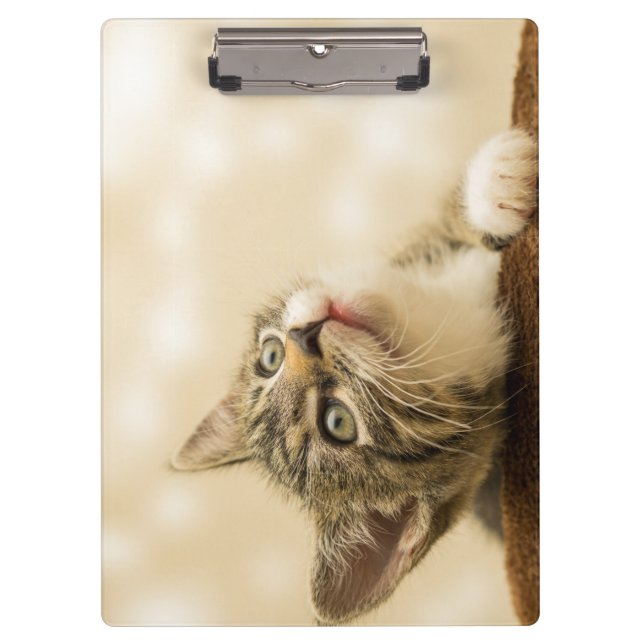 Porte-bloc Cute Kitten avec une paille étirée (Devant)
