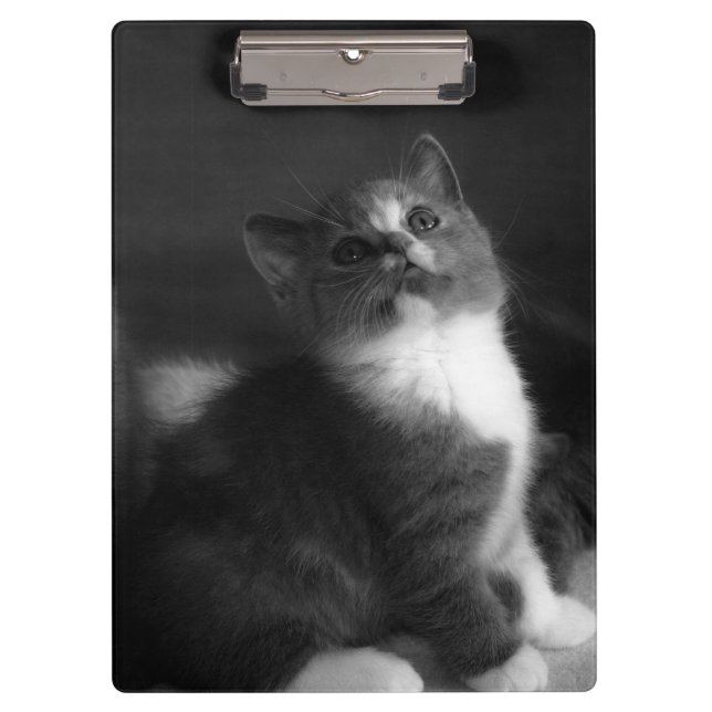 Porte-bloc Cute Kitten Portrait noir et blanc Photographie (Devant)