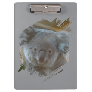 Porte-bloc Cute Koala Cust. PORTE - BLOC BG