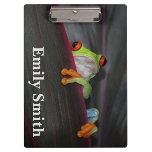 Porte-bloc Cute Porte - bloc de grenouille
