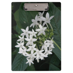 Porte-bloc de fleurs tropicales blanches magnifiqu