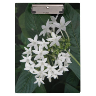 Porte-bloc de fleurs tropicales blanches magnifiqu