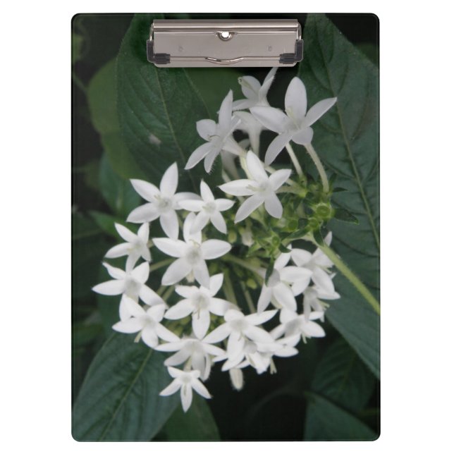 Porte-bloc de fleurs tropicales blanches magnifiqu (Devant)