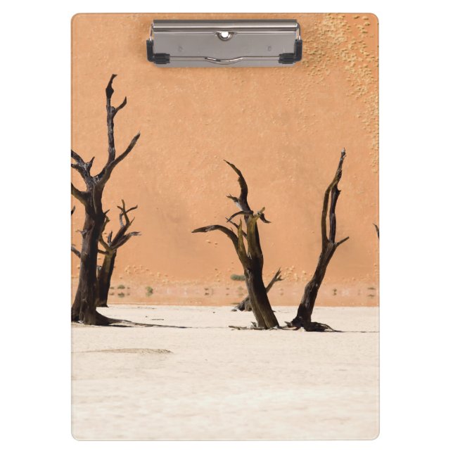 Porte-bloc Dead Vlei, Namibie (Devant)