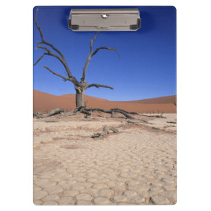 Porte-bloc Dead Vlei, Sossusvlei, Parc national de Namib-Nauk