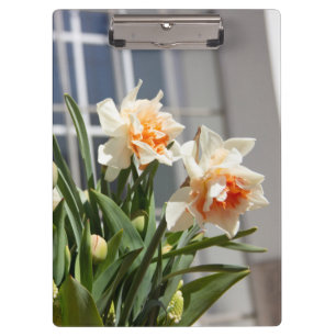 Porte-bloc Délicat mignon daffodils printemps