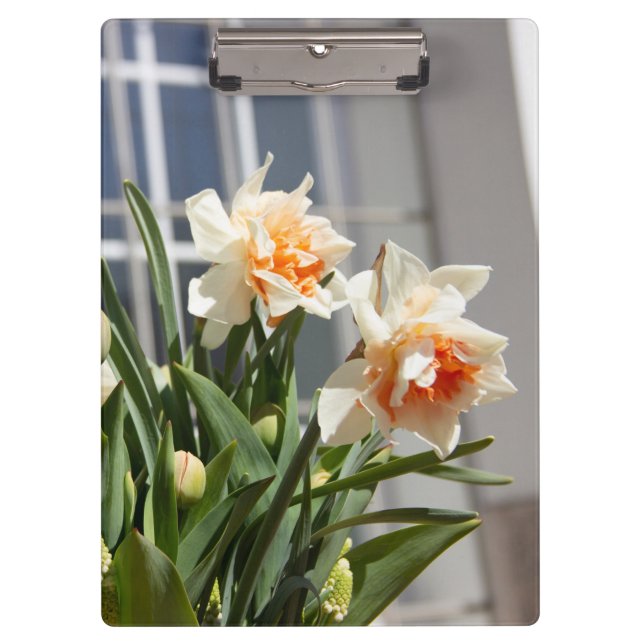 Porte-bloc Délicat mignon daffodils printemps (Devant)